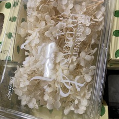 あげます！プリザーブドフラワーの画像