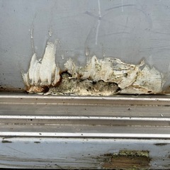 物置き(イナバ)
の画像