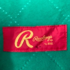 ダイエージャンバー
の画像