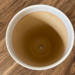 ガラス植木鉢　受け皿付き　ホワイトの画像