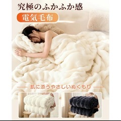 【新品未使用】① ふわとろ毛布 電気毛布 掛け敷き 日本製炭素繊維ヒーター 電気ブランケット 極上ふわとろ 毛布ブランケット 大判 もこもこ ふわふわ シングル 即暖 保温の画像