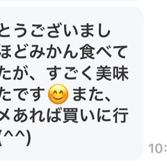 早生みかん1箱の画像