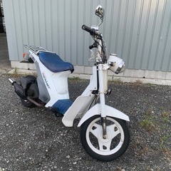 スズキモレット！！の画像