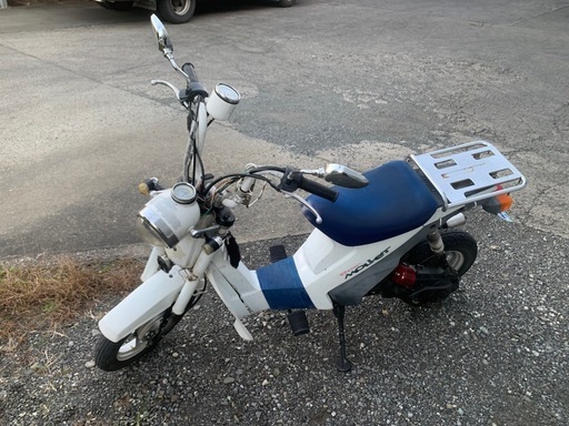 本日限定価格スズキモレット！！