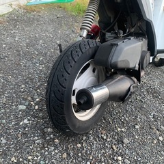 スズキモレット！！の画像