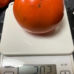 渋柿/一箱/１.5キロ以上/の画像