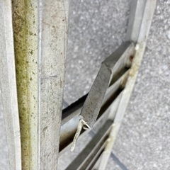 アルミラダー1.8mの画像