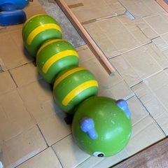 大きな虫3つの画像