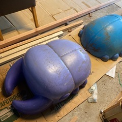 大きな虫3つの画像