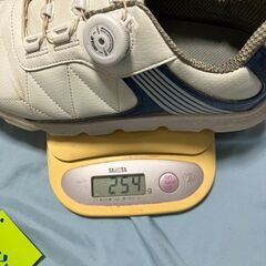 ソフトスパイク付きシューズ(スパイクレス) レイクックゴルフシューズ　27センチ　軽量片方254グラムの画像