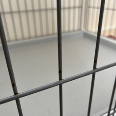 ペティオ　ペットゲージ　トイレのしつけができるサークル の画像