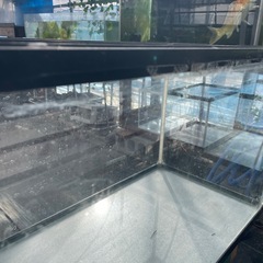 60センチ水槽　GEXガラス水槽の画像