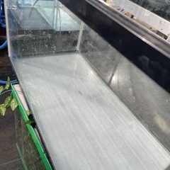 60センチ水槽　GEXガラス水槽の画像