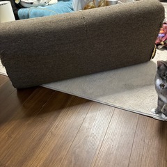 2人がけソファの画像