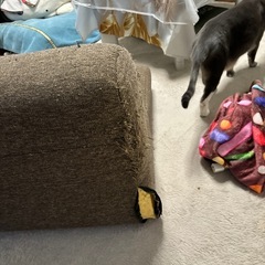 2人がけソファの画像