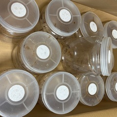 中古　空菌糸瓶　1400cc 11本　①の画像