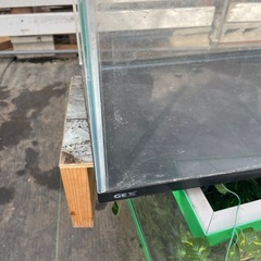 ６０センチ水槽ロータイプ　　の画像