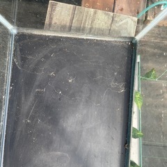 ６０センチ水槽ロータイプ　　の画像