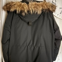 カナダグースの画像