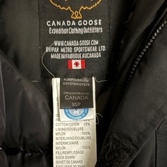 カナダグースの画像