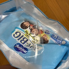 未使用おむつBIGの画像