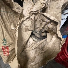 ヤーコン販売しますの画像