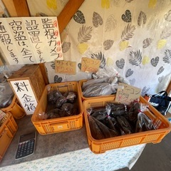 ヤーコン販売しますの画像