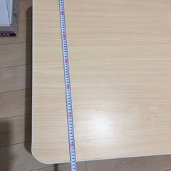 こたつ・猫こたつ布団のセットの画像