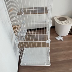 猫のゲージの画像