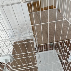 猫のゲージの画像