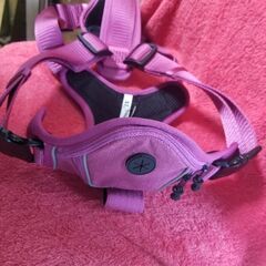 🐕　KONG　 犬用　🐕　散歩ハーネス　リフトハーネス　中古品　🐕　金属製バックル　金属製Dリング　の画像