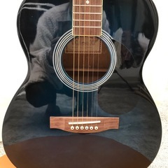 SepiaCrue セピアクルー　アコースティックギターの画像