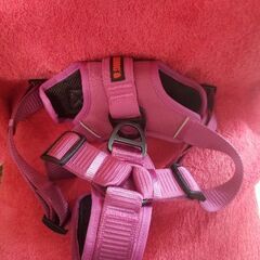 🐕　KONG　 犬用　🐕　散歩ハーネス　リフトハーネス　中古品　🐕　金属製バックル　金属製Dリング　の画像