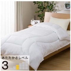 【クイーン】　ボリューム抗菌防臭防ダニ掛け布団　カバー付きの画像