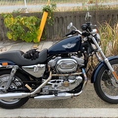 スポーツスター2003年式　xlh883 リジスポ　純正　低走行　実動の画像