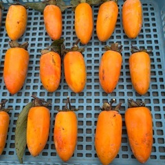 レア品　渋柿20個 (生)
の画像