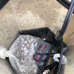 金魚　水槽　小さな楽園　観賞用飼育セットの画像