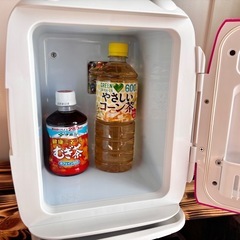 小型 電子 保冷保温 ボックスの画像