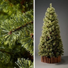 新品クリスマスツリー　　Alsaceの画像
