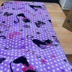 女性使用　長座布団の画像