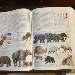 大百科事典の画像