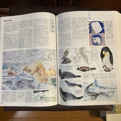 大百科事典の画像