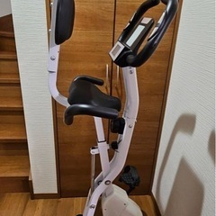 Lino Miraiエアロバイクの画像