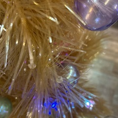 クリスマスツリーの画像