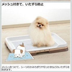 リッチェル お掃除簡単ステップトレー レギュラー(メッシュ付) アイボリー レギュラーの画像