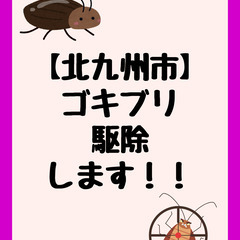 【北九州】ゴキブリ駆除します！即日OK／深夜対応可／1匹〜…