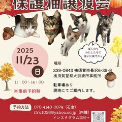保護猫譲渡会 ❣ ❣