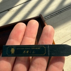 アガベ           悪魔くんの画像