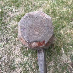 木槌、きづちの画像