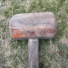 木槌、きづちの画像